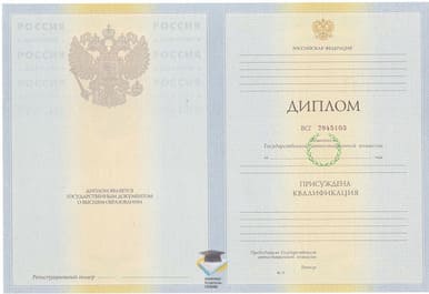 Диплом МИЭПП 2010-2011 годов